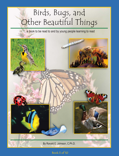 Birds, Bugs, and Other Beautiful Things
