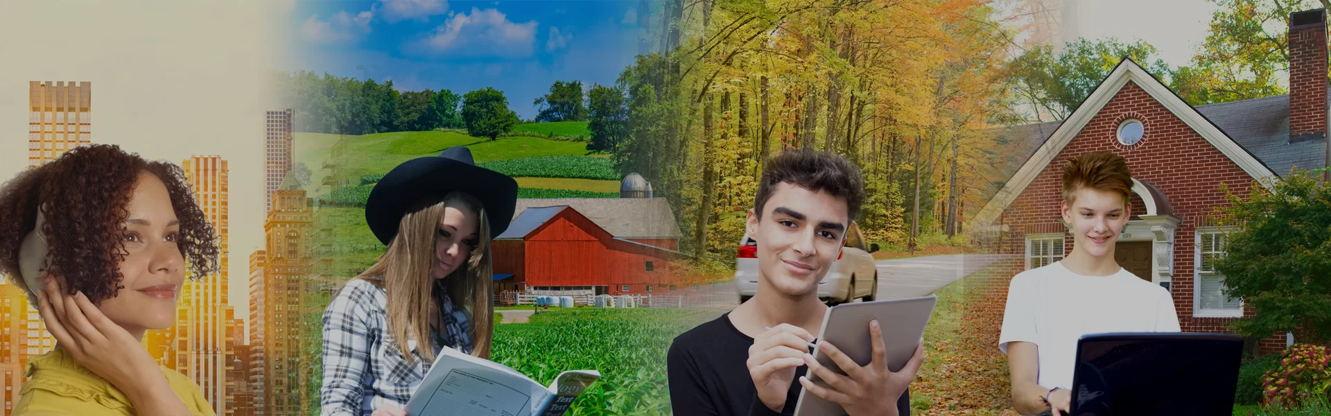 Homeschool Curriculum